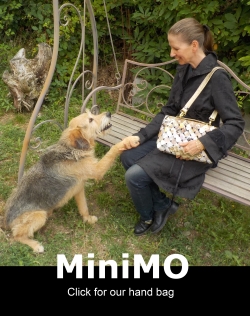 The Mini-MO